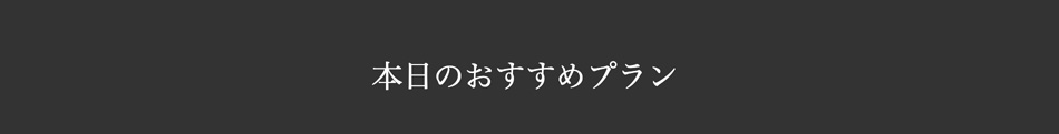 おすすめプラン